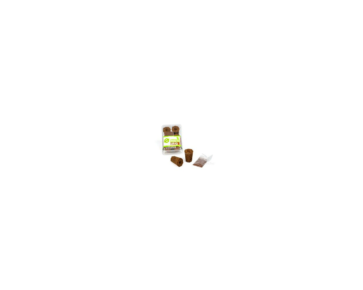 Eazy tray seeds kit 6 alv hga