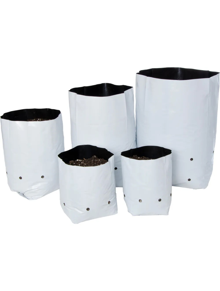 Bolsa de cultivo blanca 31 x 14 3,78 l (50 uds) vdl