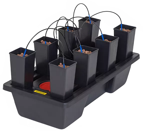 Sistema wilma 8 mini completo