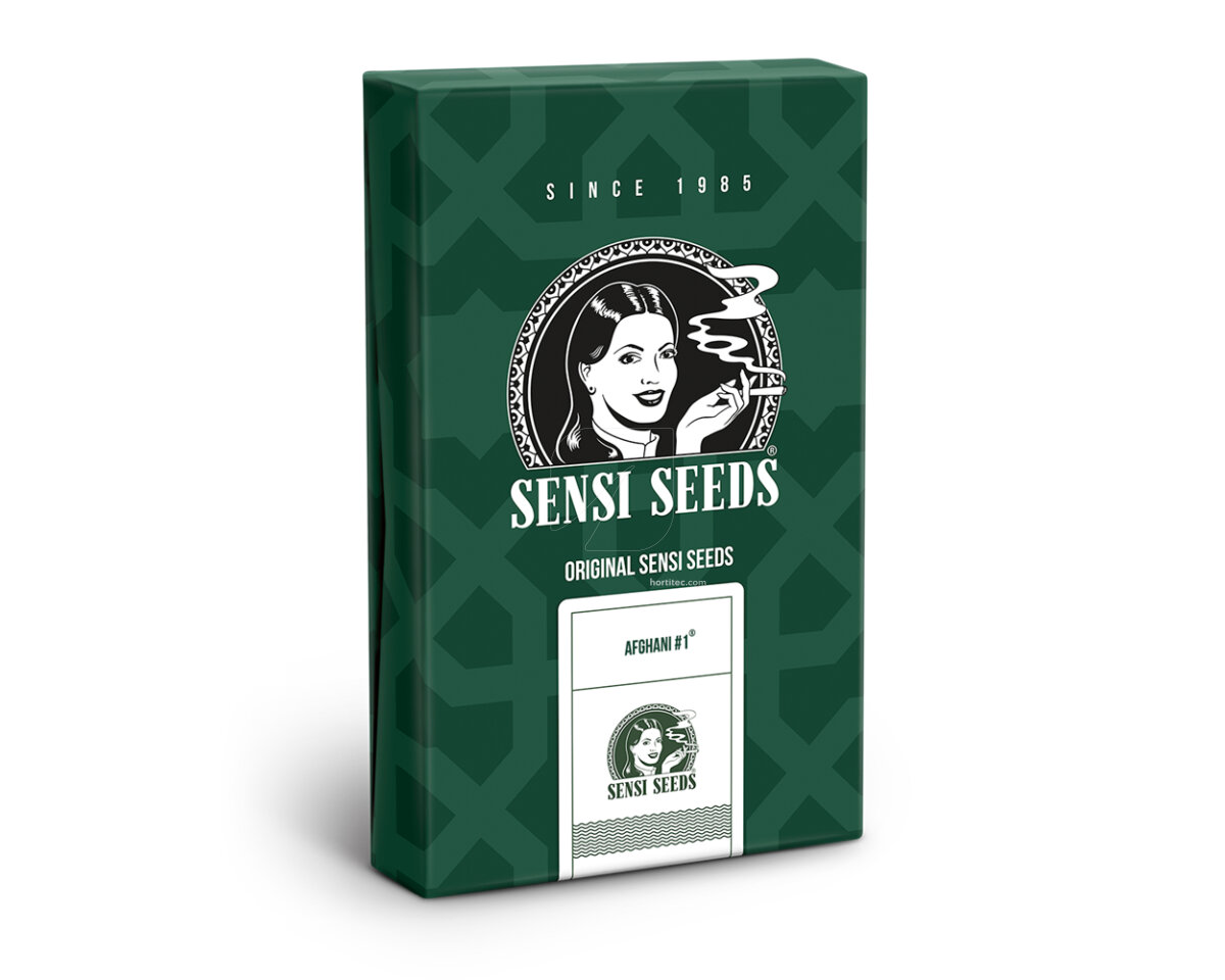 Afghani 1 regular (10) sensi seeds