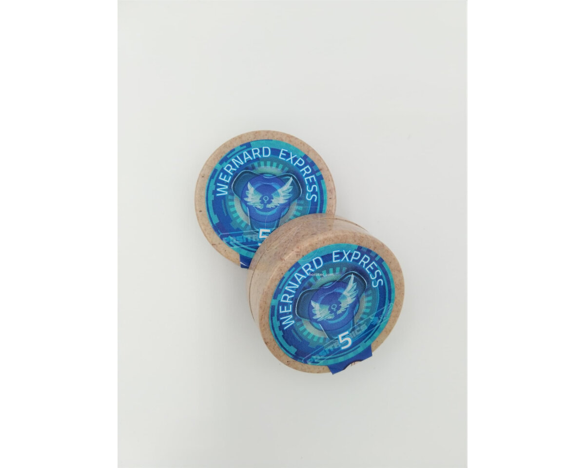 Wernard auto (5) auto positronics