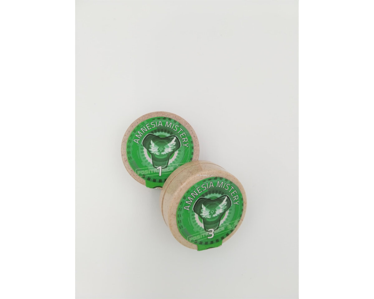 Amnesia mistery (1) 100% positronics