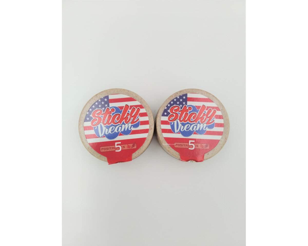 Sticky dream (5) 100% positronics