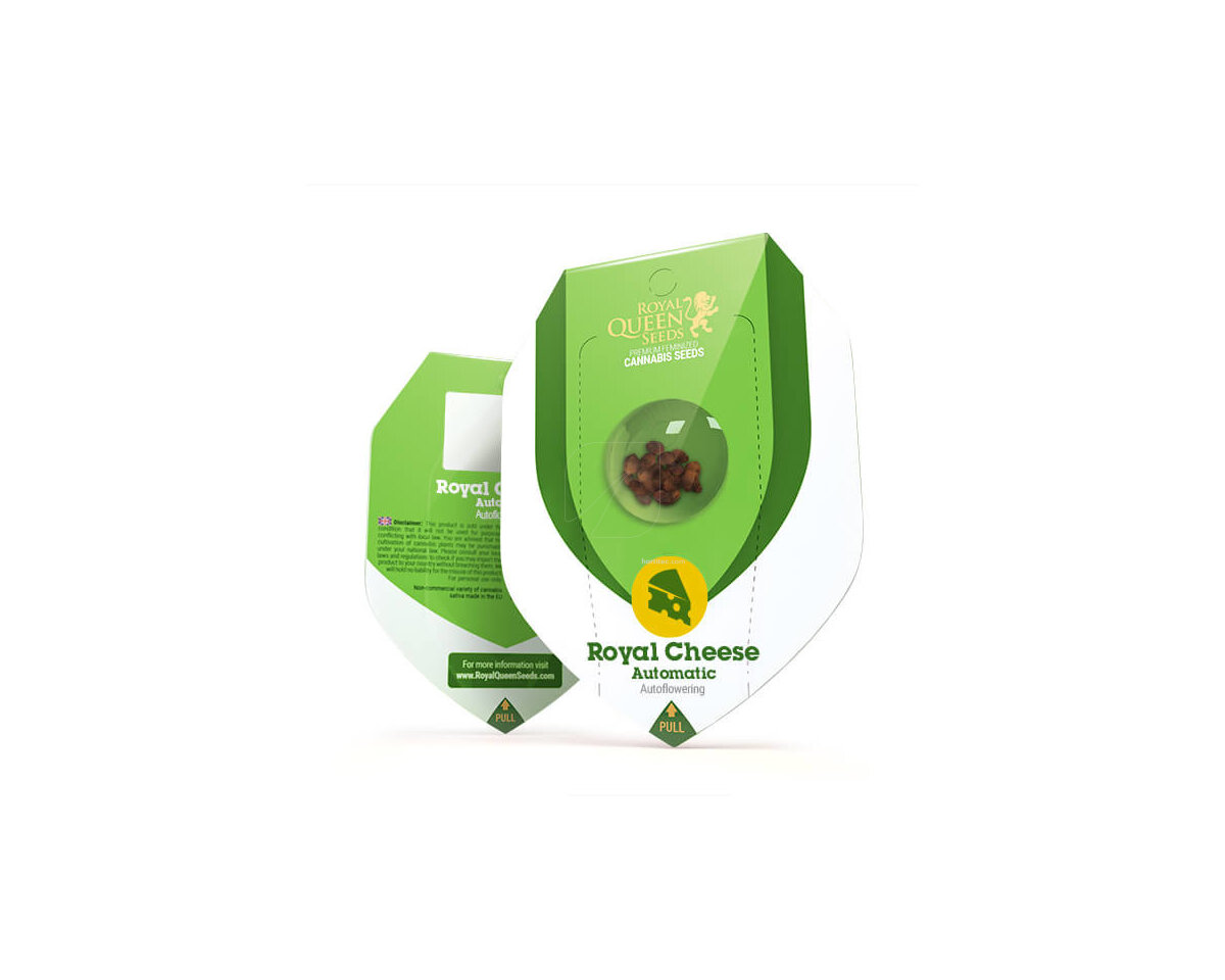 Royal cheese auto (1) royal queen seeds