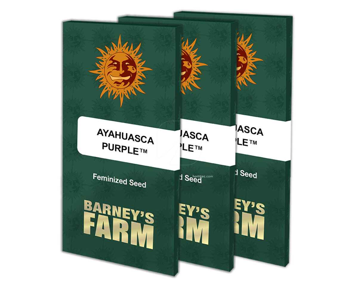 Ayahuasca purple (5) 100% barney's farm seeds