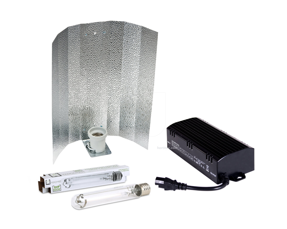 Kit electronico vanguard 600 w no regulable amartillado