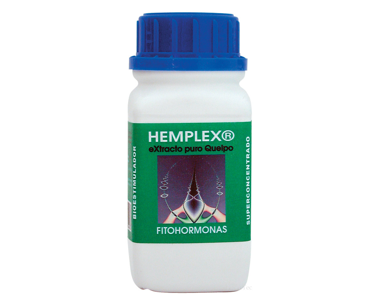 Hemplex 250 ml trabe