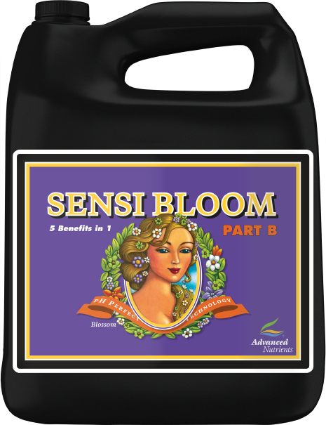 Ph perfect sensi bloom b 4 l advanced nutrients