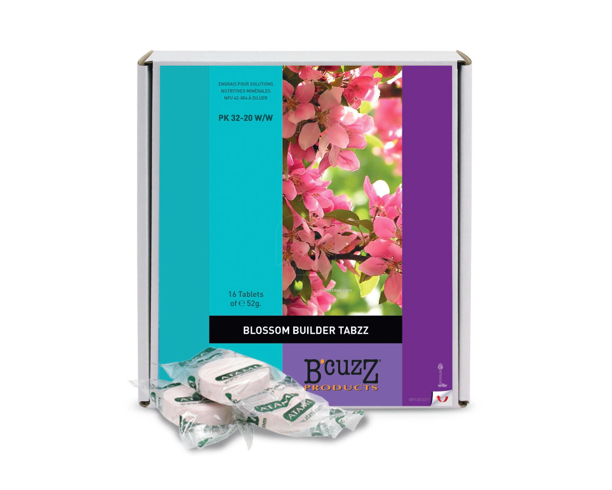 Blossom builder tabzz (16 uds) 52 g atami