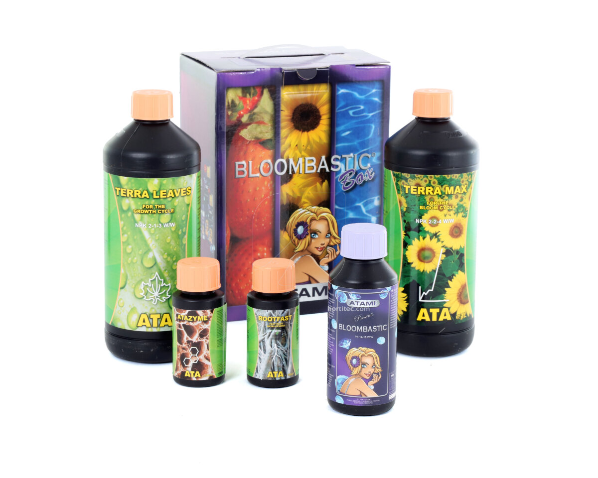 Ata/terra bloombastic box atami