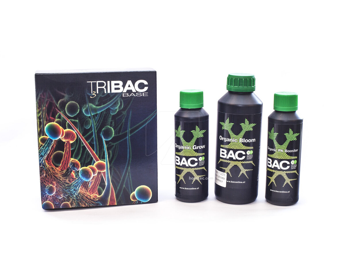 Tribac bac