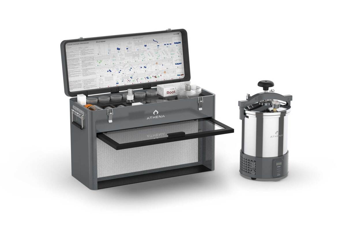 Tissue culture kit inglés athena