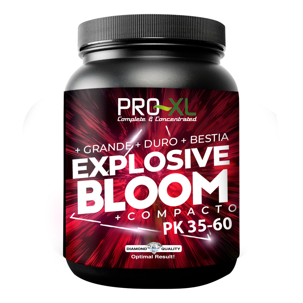 Explosive bloom 250 gr pro-xl
