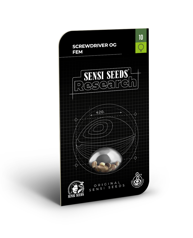 Screwdriver og feminizada (1) sensi seeds