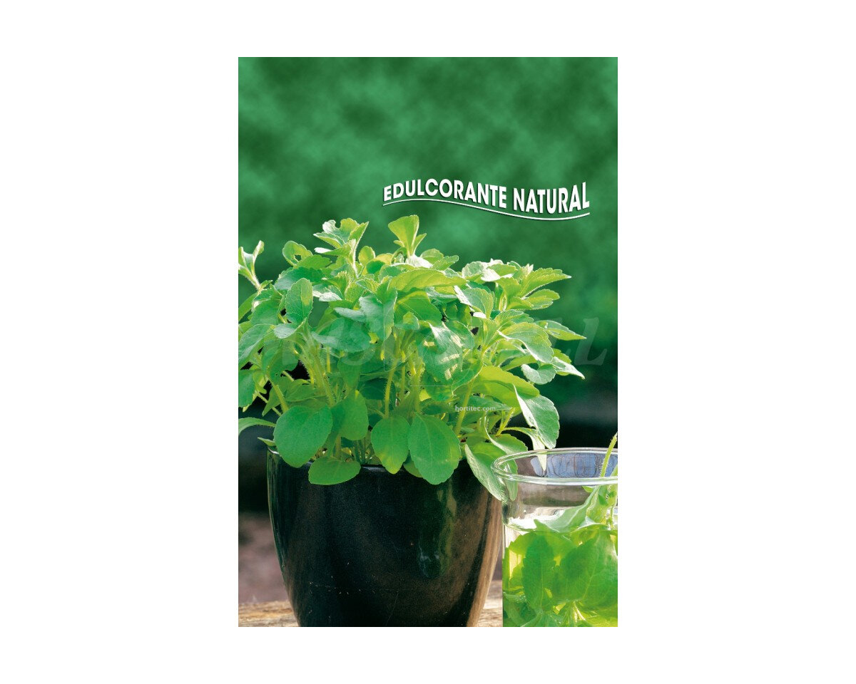 Stevia